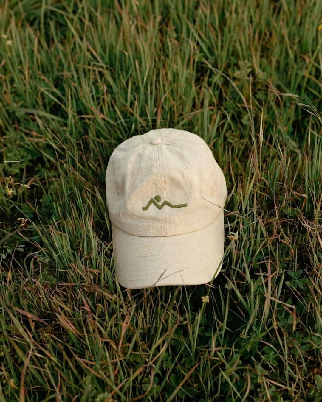 Albert Vall Training — brand detail