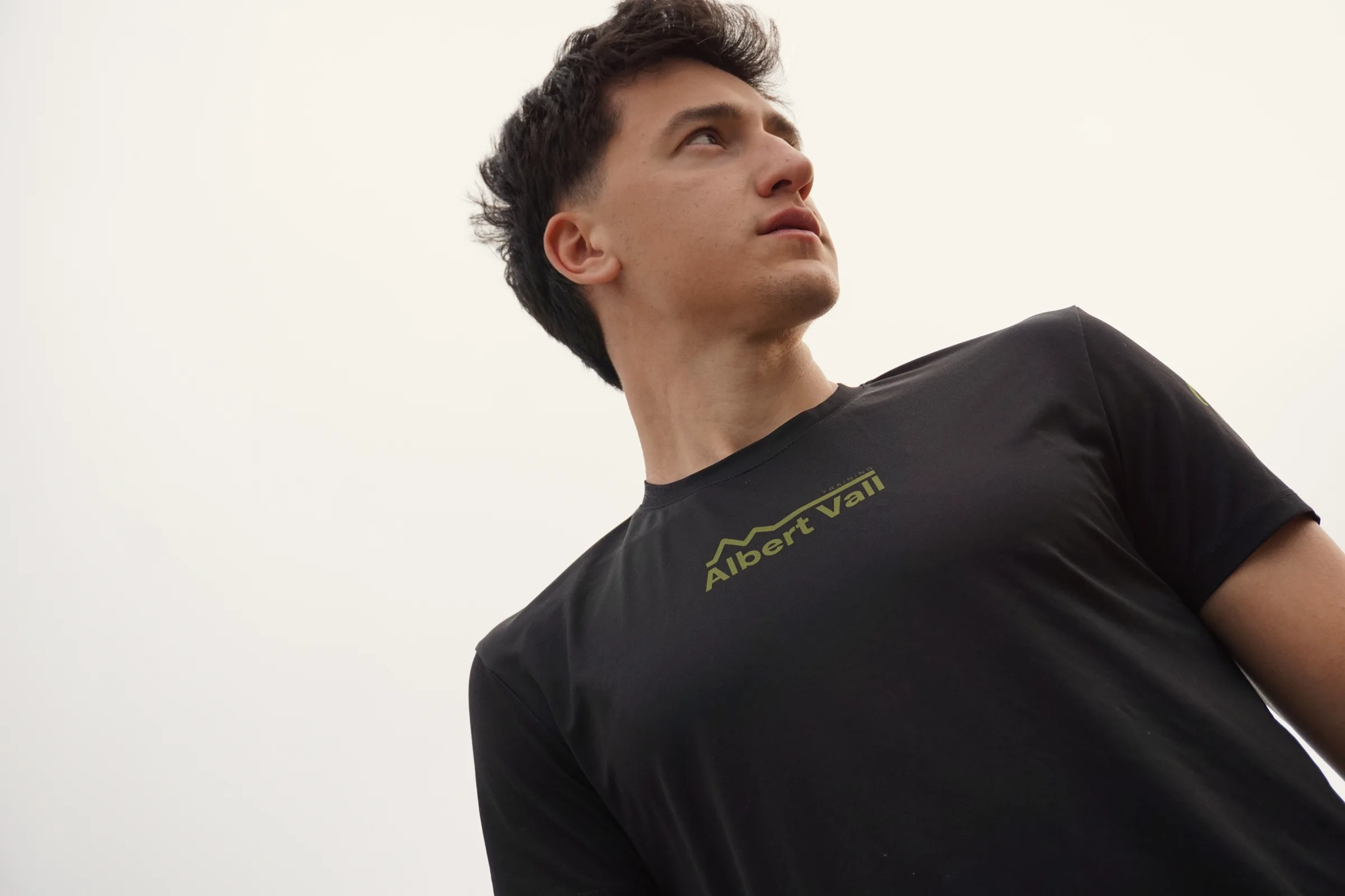 Albert Vall Training — final brand composition