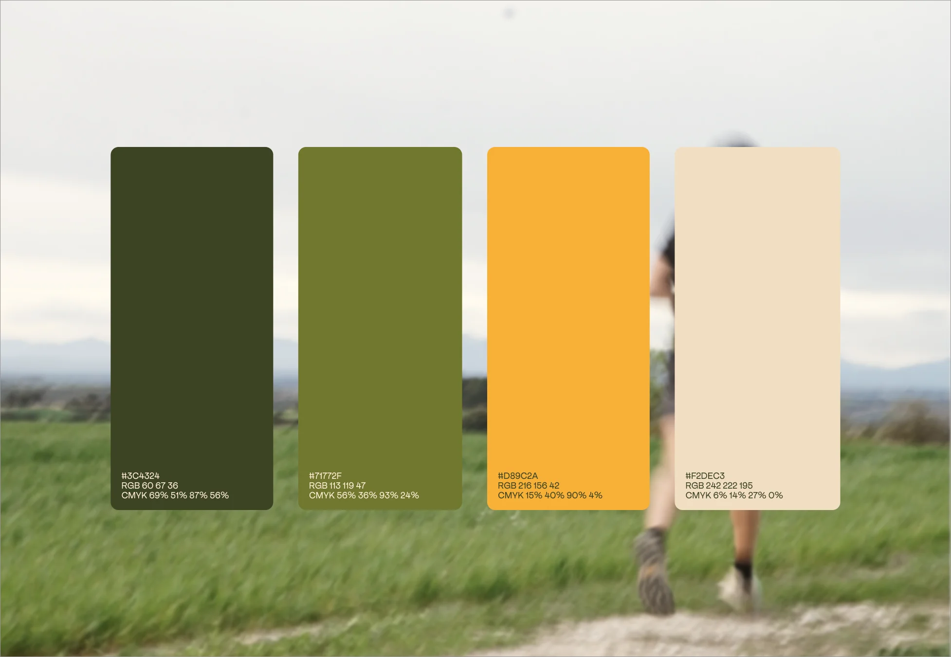 Albert Vall Training — brand application